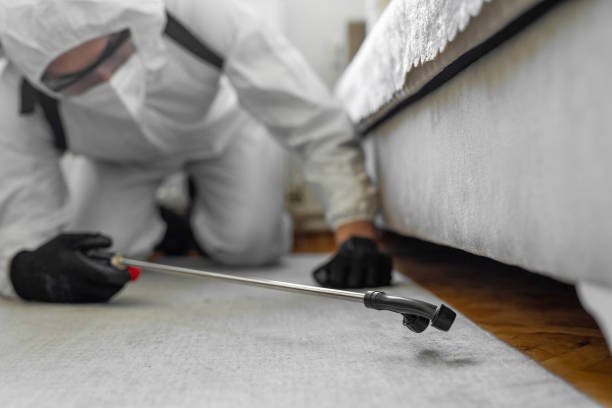 Professional Bed Bug Control technician working in Akron, PA